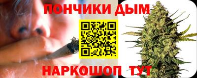 сатива Апшеронск