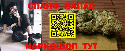 сатива Апшеронск